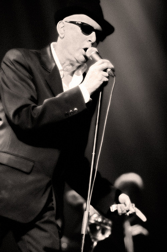 alain bashung